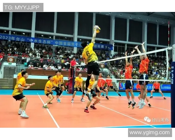 武汉排球队的速度之美:探索排球运动中的快速反应与战术配合