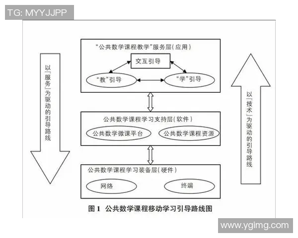 深圳篮球队的战术运营体系探讨与实践分析